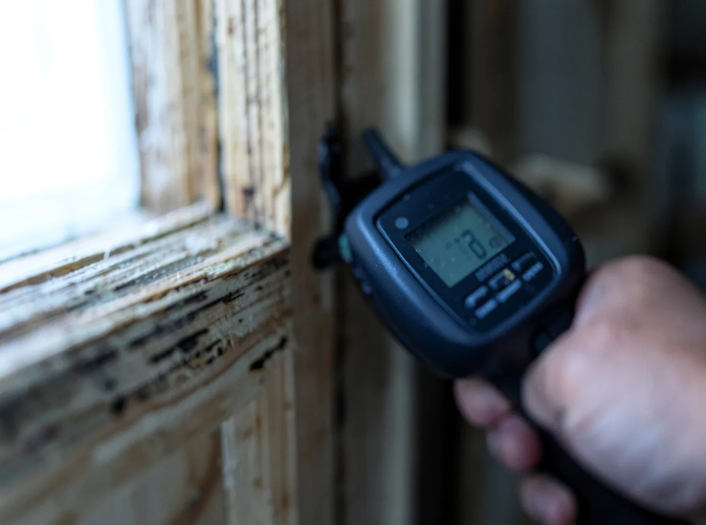 Commercial Water Damage Restoration in Sterling, AK
